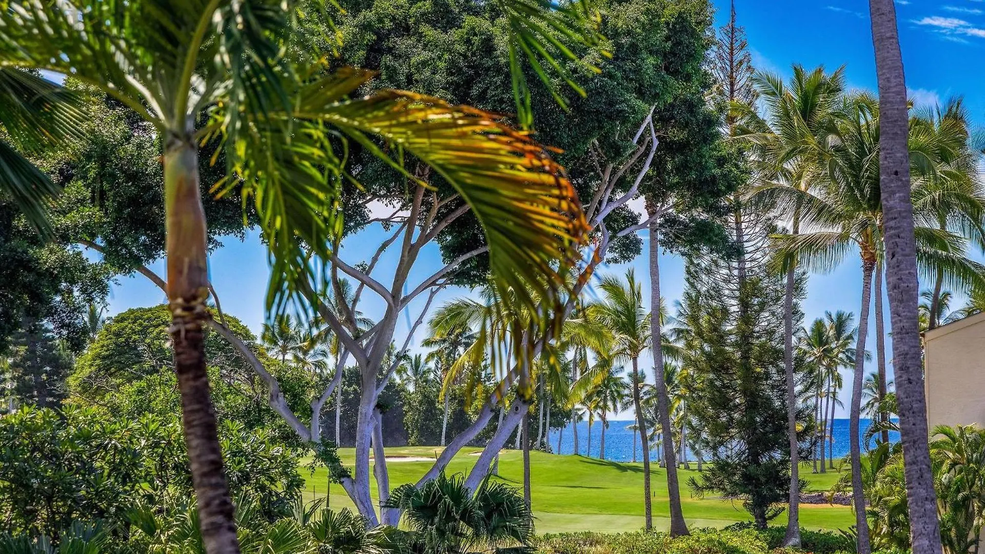 Keauhou Kona Surf & Racquet Club #6-201 Villa Kailua-Kona Nyaraló